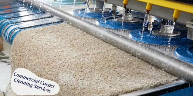 Commercial Carpet Cleaning