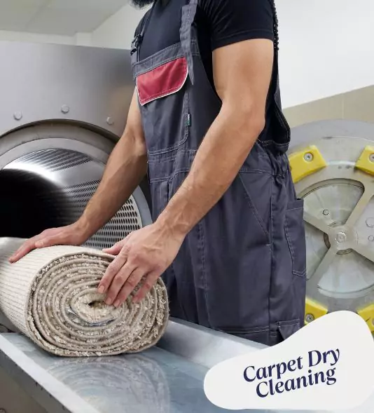 Dry Carpet Cleaning