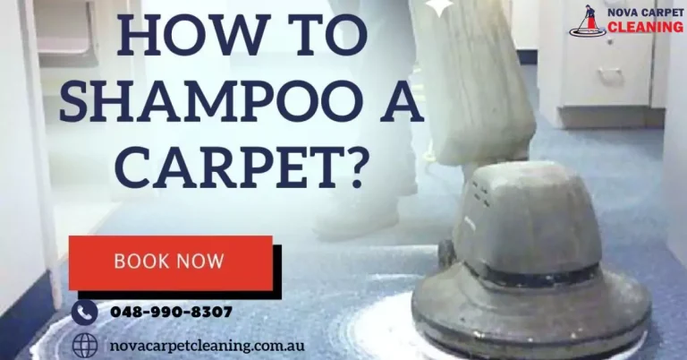 How to Shampoo Carpets