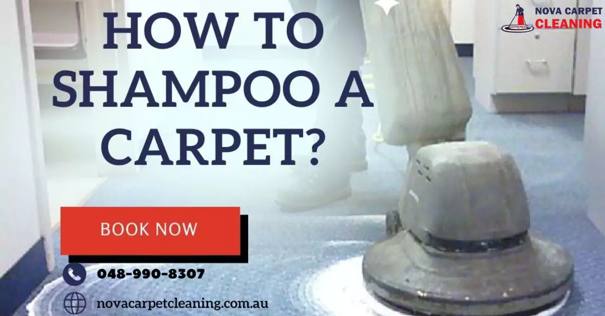 How to Shampoo a Carpet?