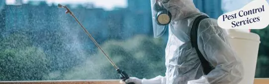 Pest Control Services