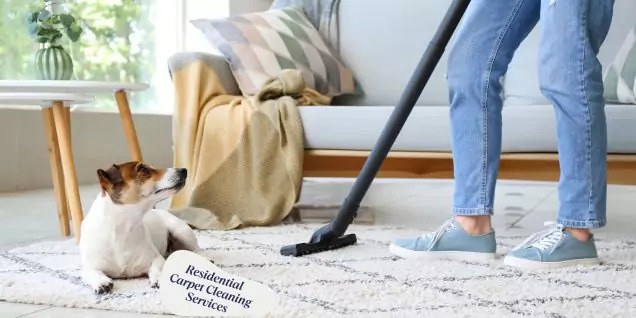 Residential Carpet Cleaning