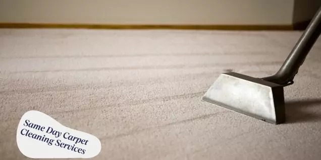 Same Day Carpet Cleaning