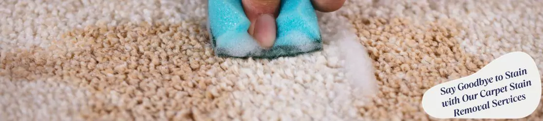 Say Goodbye to Stain