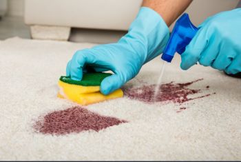Carpet Spot and Stain Rеmoval